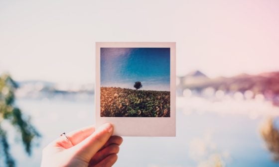 person holding photo of single tree at daytime 1252983 1